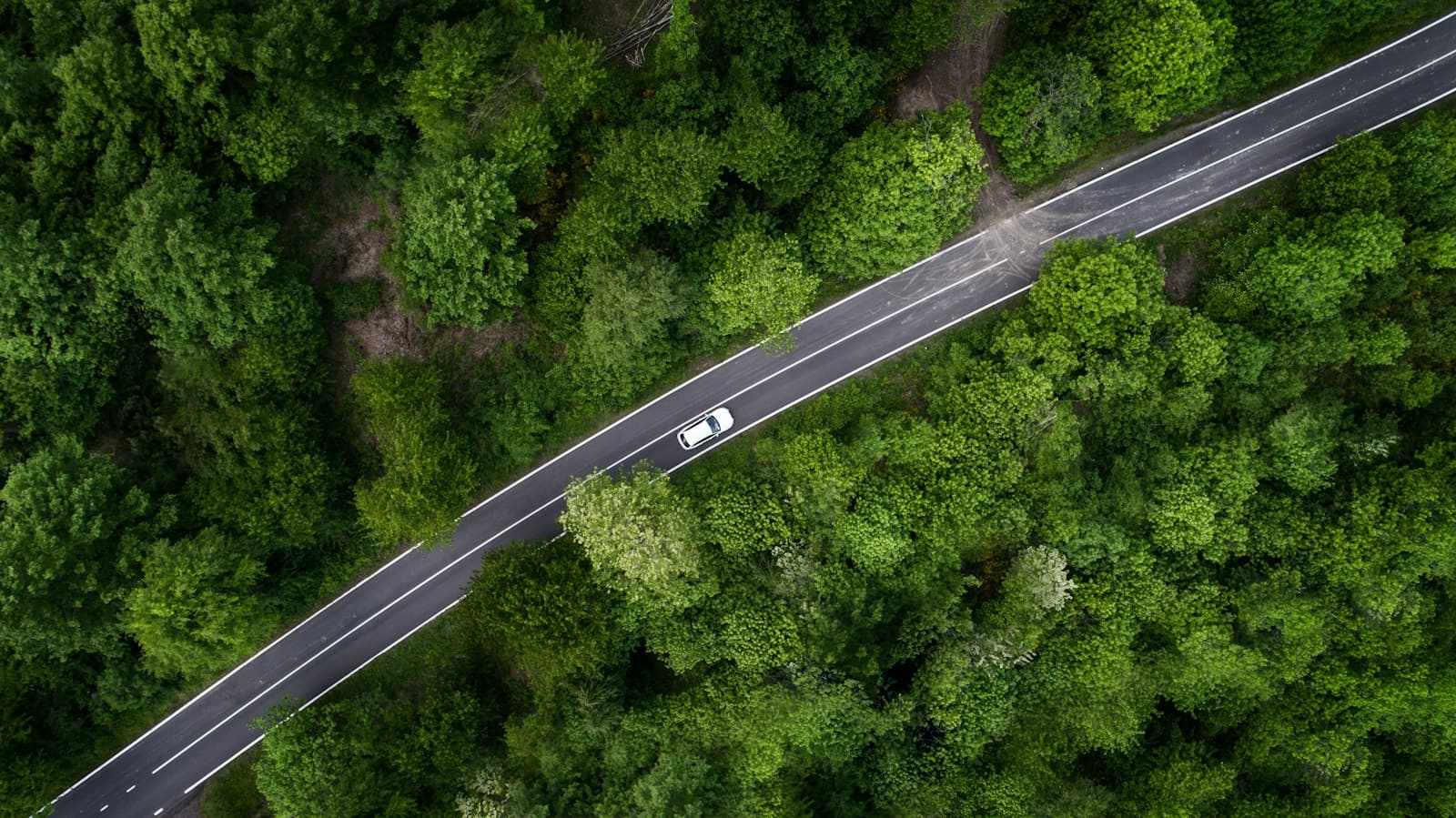 Top-down drone photograph of a car on a tree-lined road